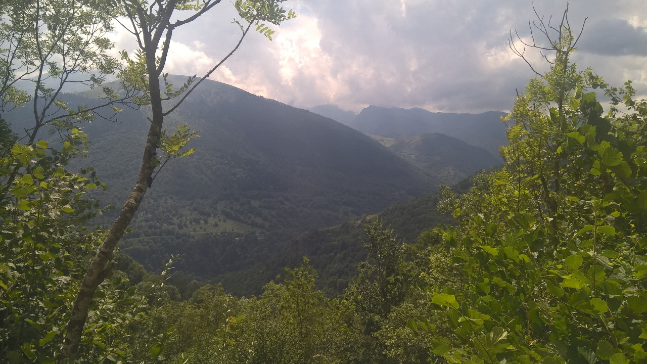 Paysage d’été
