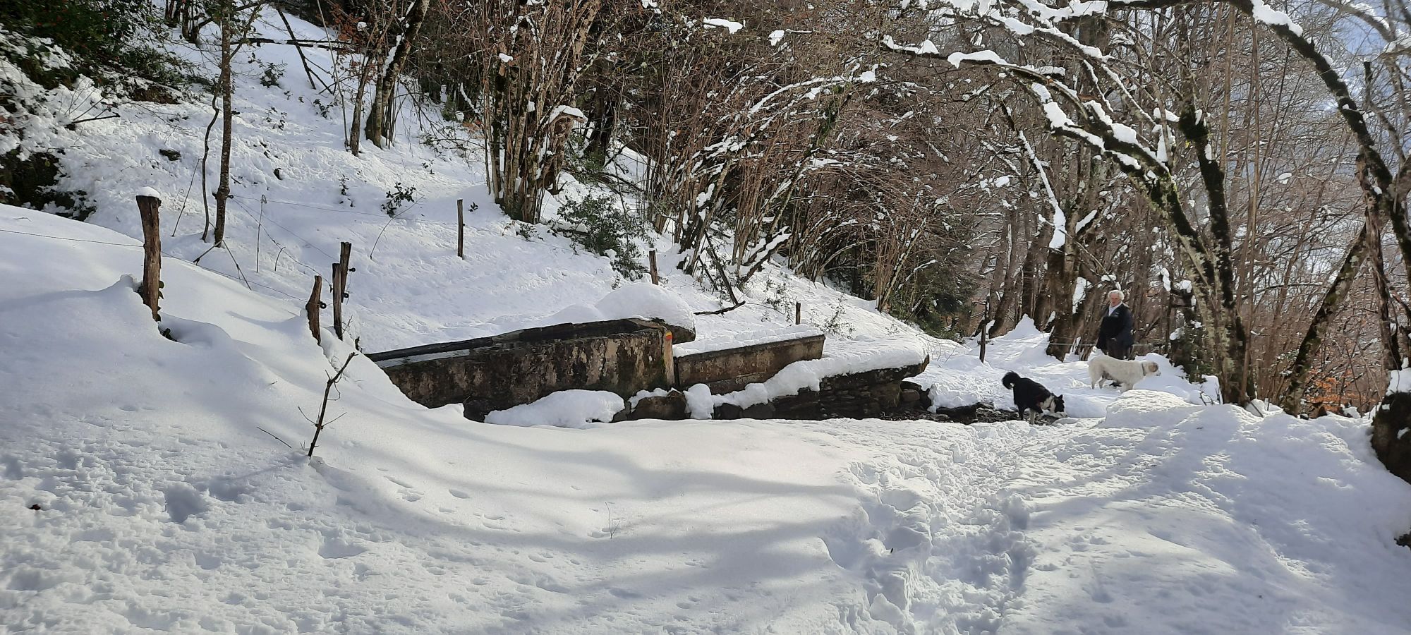 Montagne en hiver